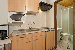 Kleine Ferienwohnung: Küchenzeile, angrenzend Bad mit Dusche und WC