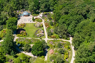 Blühende Pflanzen im Rhododendronpark